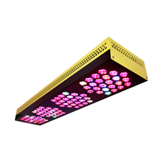BloomBee960